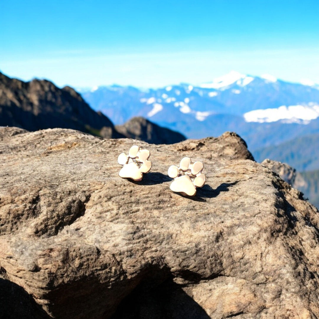 עגילי צורת רגל היפואלרגניים